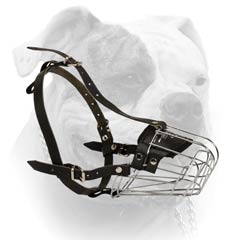 Wire Buckled Muzzle For American Bulldog