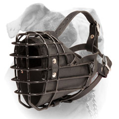 Leather American Bulldog muzzle fully padded