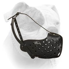 Muzzle American Bulldog leather easily adjustable