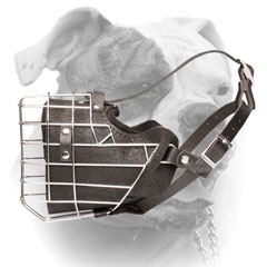 Leather American Bulldog muzzle fully padded