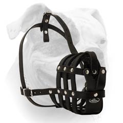 Roller Buckle Leather Dog Muzzle For everyday Use