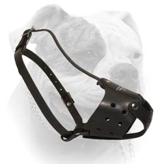 American Bulldog Everyday Leather Muzzle