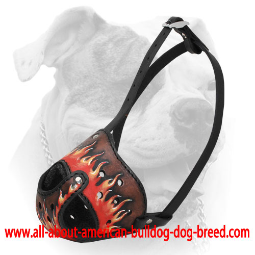 Perfect fit no-bite leather American Bulldog muzzle