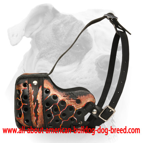 Reinforced Magma painted leather American Bulldog muzzle