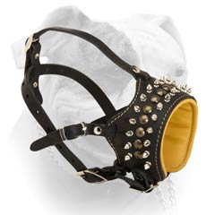 American Bulldog Decorative Leather Muzzle