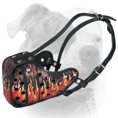 New Design of Decorative Leather Muzzle