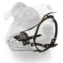 A great comfort for the dog in the muzzle