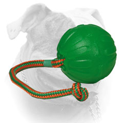 American Bulldog rubber chew ball