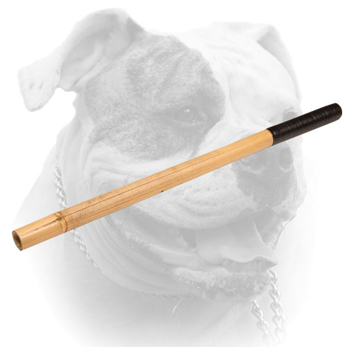 American Bulldog Bamboo stick for training