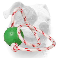 American Bulldog water bite ball for water activities