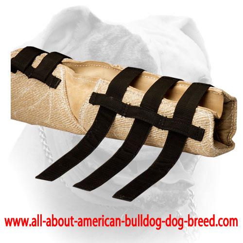 American Bulldog hidden bite sleeve with velcro straps