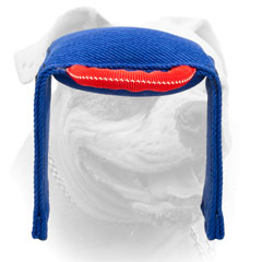 American Bulldog bite tug for Schutzhund training