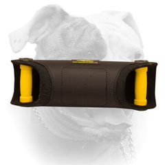 Durable handle for bite developer for American Bulldog