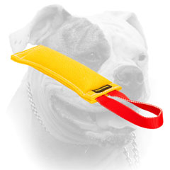 Heavy stuffed American Bulldog bite tug of French Linen