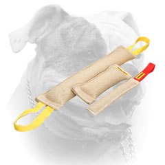 Carefully stitched American Bulldog bite tugs with soft handles