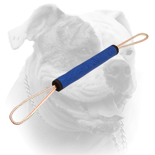 Play roll for American Bulldog