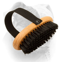 American Bulldog bristle brush for your dog's shiny fur