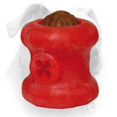 Harmless American Bulldog ball