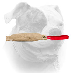 Stitched jute bite tug with a handle for American Bulldog