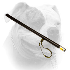 More noise American Bulldog stick with leather covering