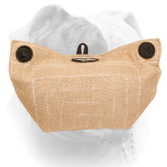 Three padded inside handles for American Bulldog bite builder