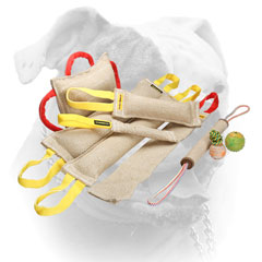 Training jute bite tugs set for American Bulldog