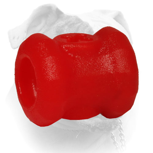 Special American Bulldog ball