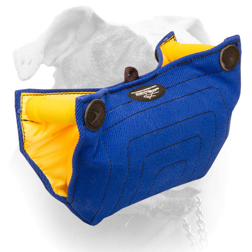 French Linen bite builder for American Bulldog puppy