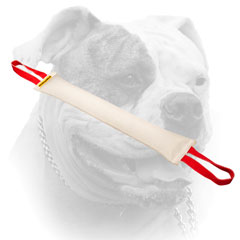 Long American Bulldog bite tug