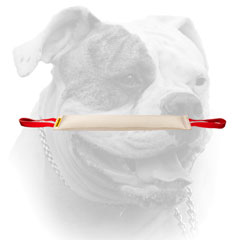 Huge American Bulldog bite tug with two handles