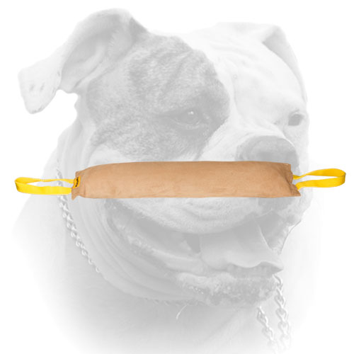 Huge leather bite tug for American Bulldog