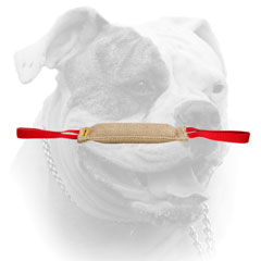 American Bulldog jute bite tug with two comfy handles