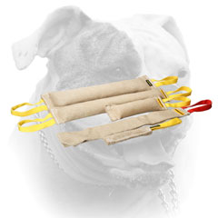 Training jute bite tugs set carefully stitched for American Bulldog
