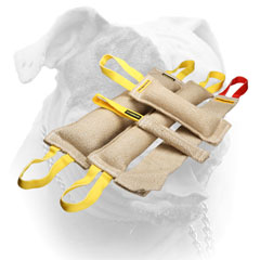 Comfy handles for jute bite tugs set for American Bulldog