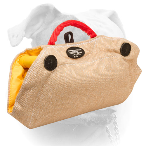 Safe and durable American Bulldog bite builder 