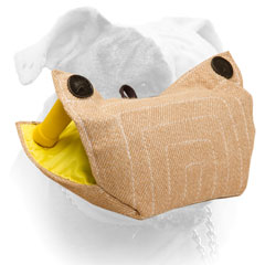 Jute bite builder for American Bulldog puppy