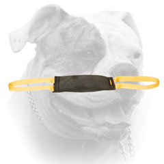 American Bulldog bite tug of leather