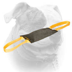American Bulldog bite tug for advanced training