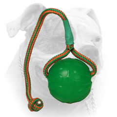 Rubber chew ball for American Bulldog
