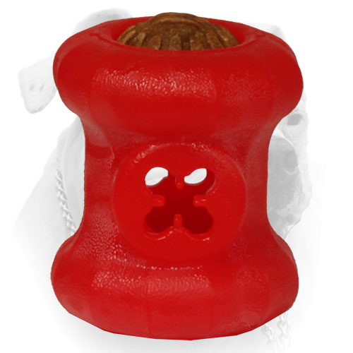 Harmless American Bulldog ball with treats