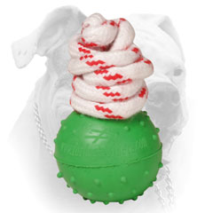 Water ball for American Bulldog