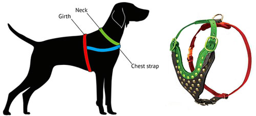 how-to-measure-harness